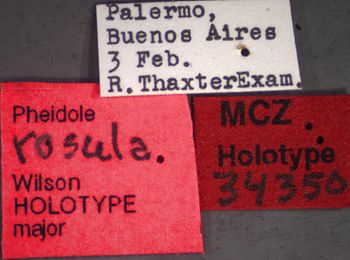 Media type: image;   Entomology 34350 Aspect: labels